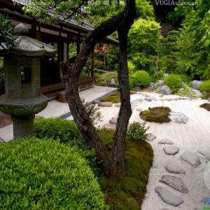 Đá tự nhiên làm tiểu cảnh, lát sân vườn