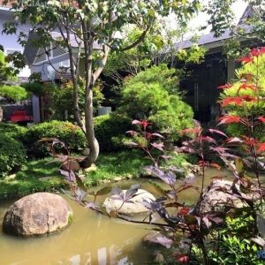 Đá lát sân vườn đẹp