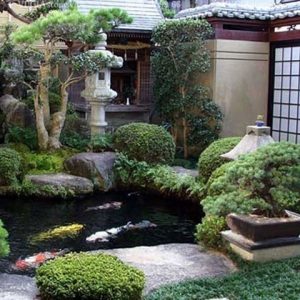 Đá tiểu cảnh sân vườn