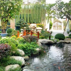 Mẫu đá lát sân vườn, tiểu cảnh biệt thự
